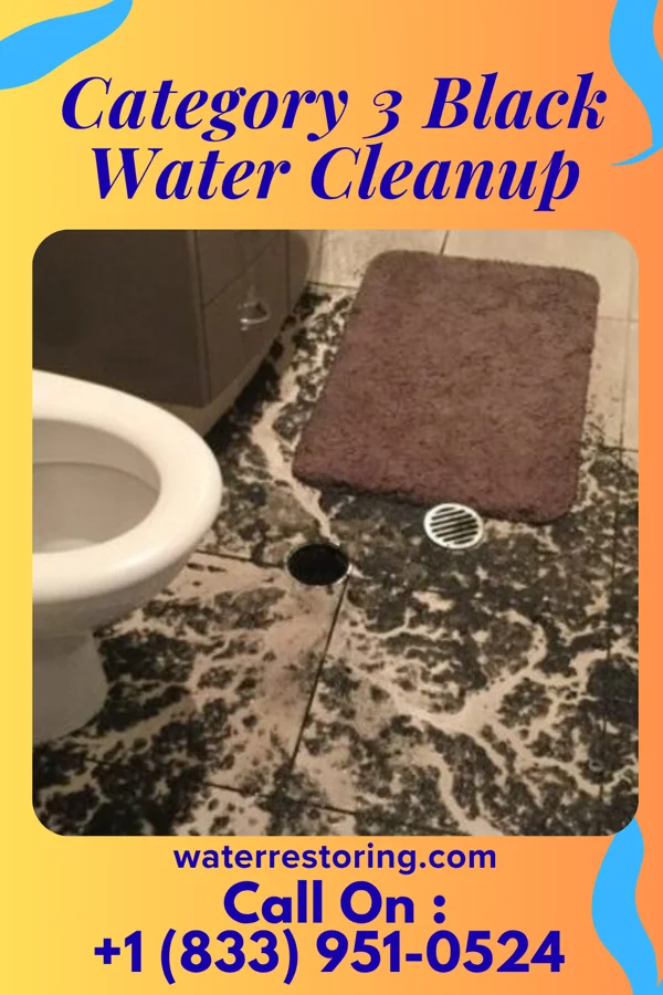 Category 3 Black Water Cleanup in McMurray, PA
