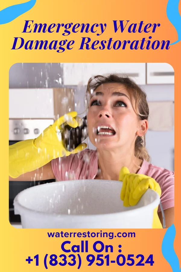 Emergency Water Damage Restoration in McMurray, PA