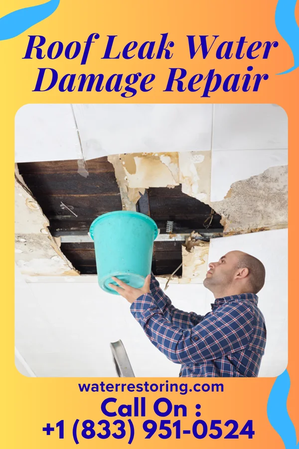 Roof Leak Water Damage Repair in McMurray, PA