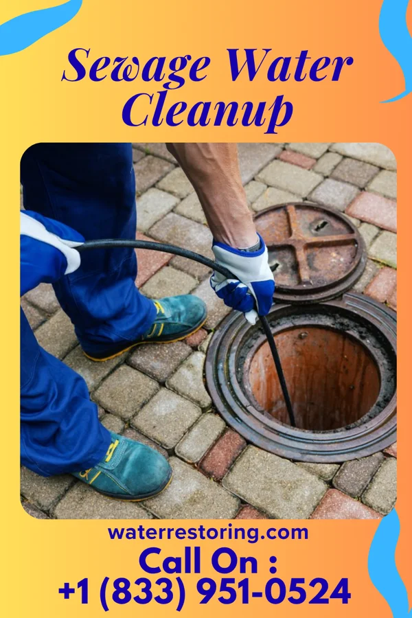 Sewage Water Cleanup in McMurray, PA